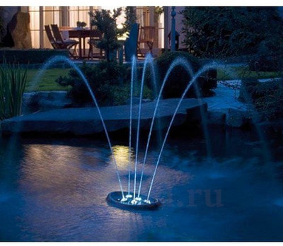     Water Starlet (,     Water Starlet)